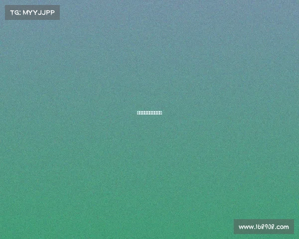 海南纵横科技有限公司